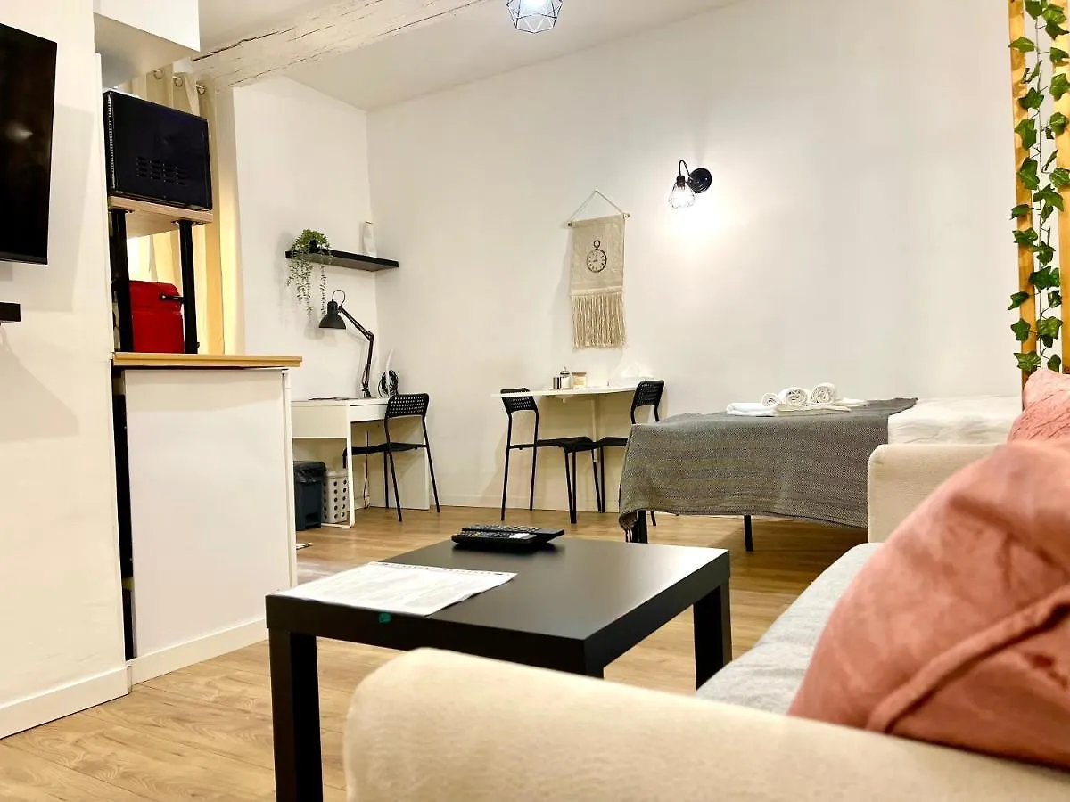 Apartment Cosy Modern Studio In The Heart Of Nice With Ac
